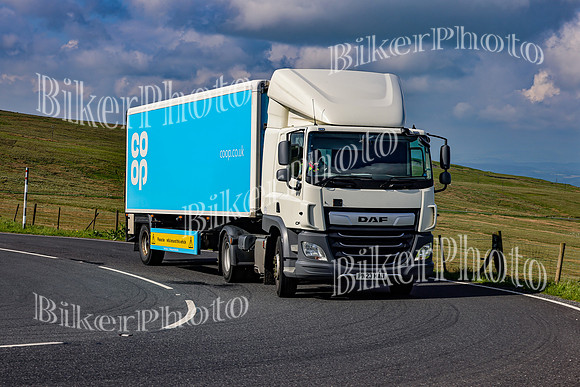 3N3A0446