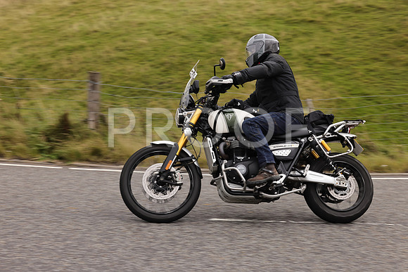 Steve - 3N3A9999 (3772)