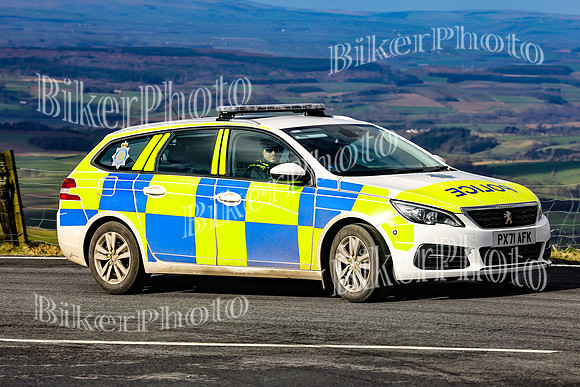 069A2982 (2)
