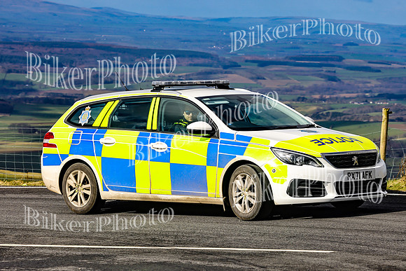 069A2984 (2)