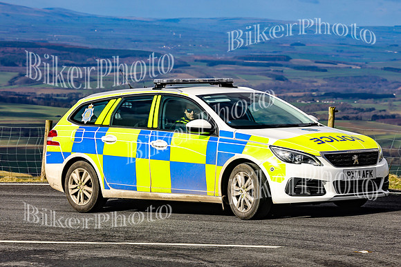 069A2986 (2)