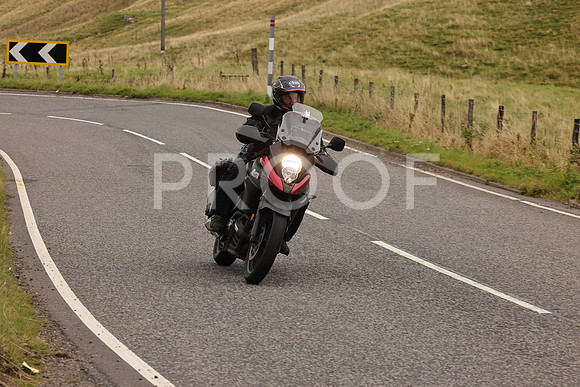 Steve - 3N3A9999 (2928)
