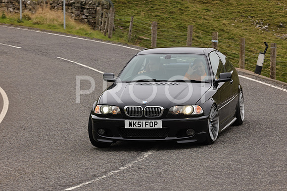 Steve - 3N3A9999 (2052)