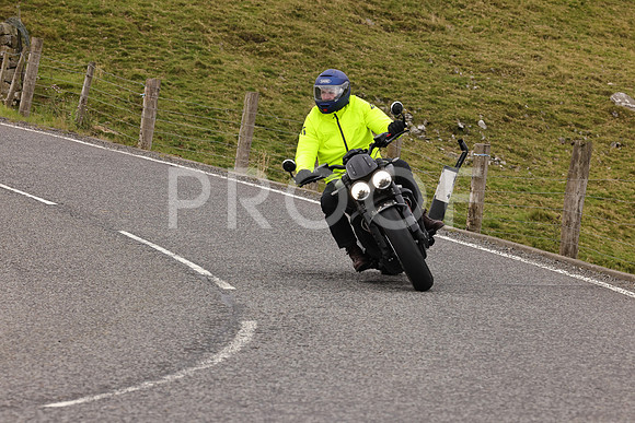 Steve - 3N3A9999 (4953)