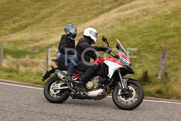 Steve - 3N3A9999 (5033)