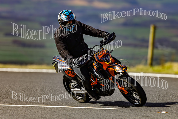 069A3310