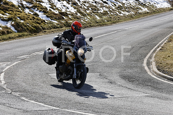 _N3A3325