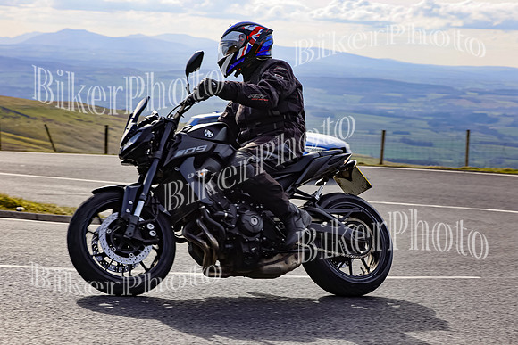 069A8669