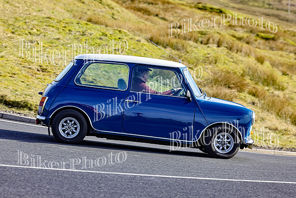 069A9731 (2)