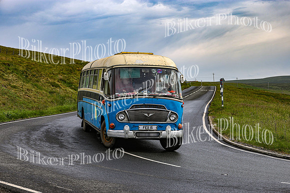 0W9A3590 (2)