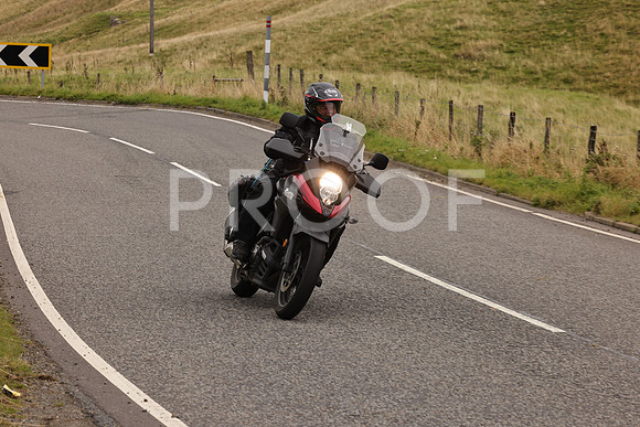 Steve - 3N3A9999 (2930)