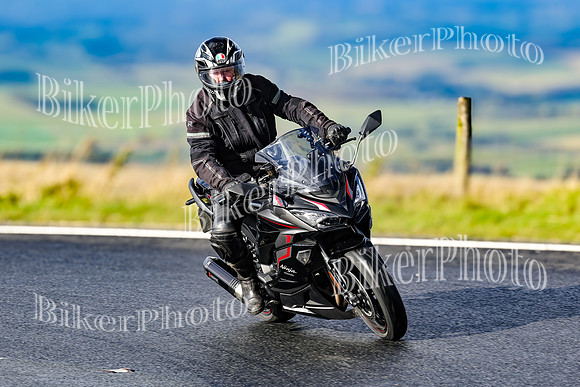 250A2015