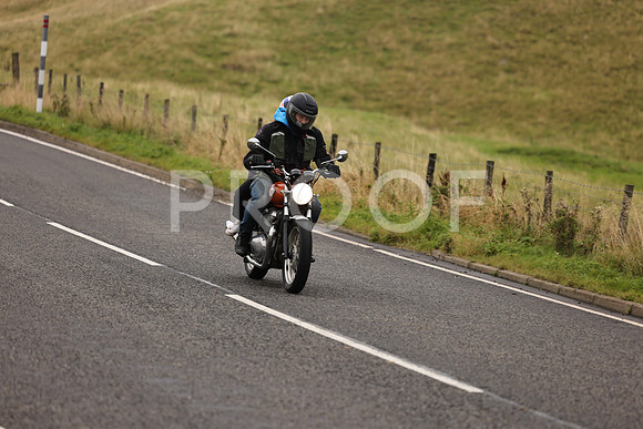 Steve - 3N3A9999 (1173)