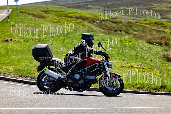 Daves (41)