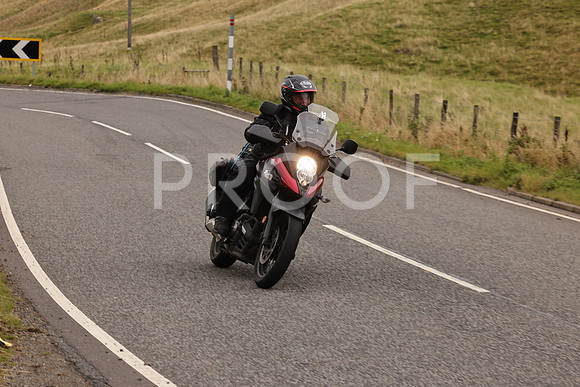 Steve - 3N3A9999 (2931)