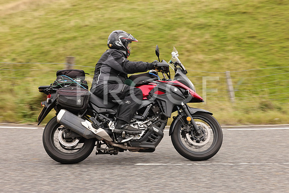 Steve - 3N3A9999 (2940)