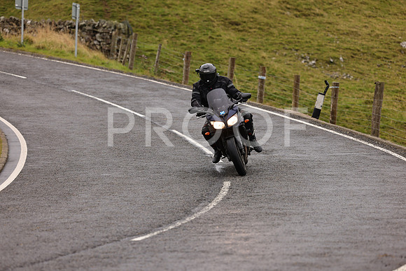 Steve - 3N3A9999 (1029)