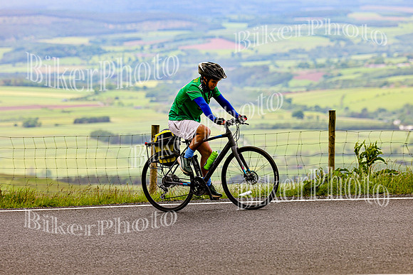 3N3A0721