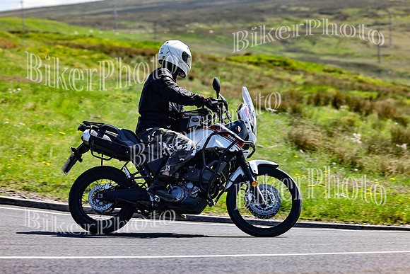 Daves (155)