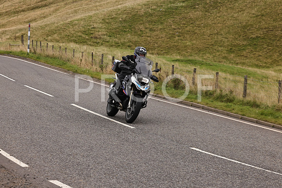 Steve - 3N3A9999 (3033)