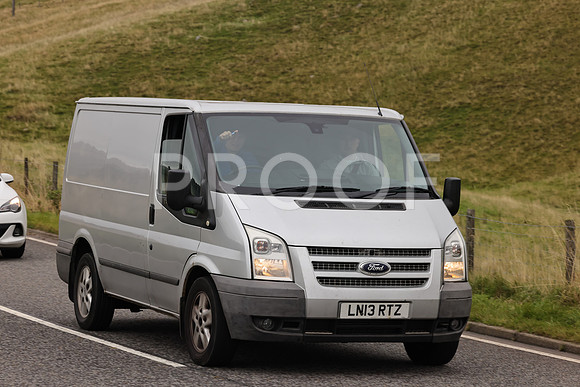 Steve - 3N3A9999 (2131)