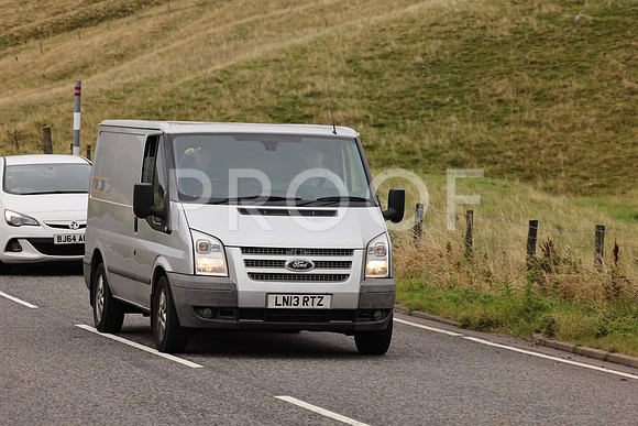 Steve - 3N3A9999 (2127)