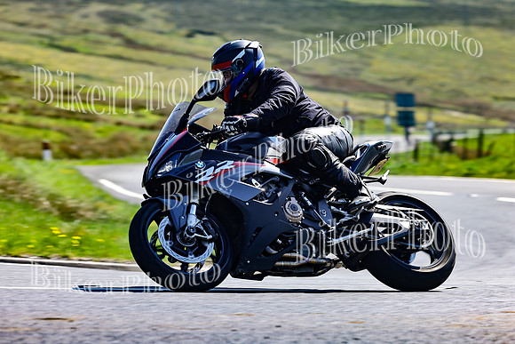 Daves (46)