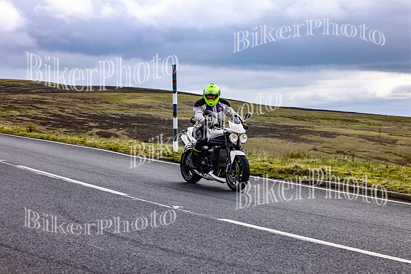 069A6694 (2)