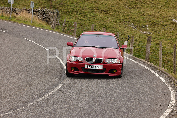 Steve - 3N3A9999 (3484)
