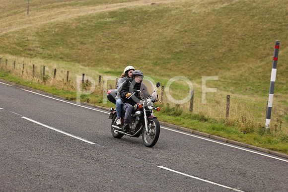 Steve - 3N3A9999 (1204)