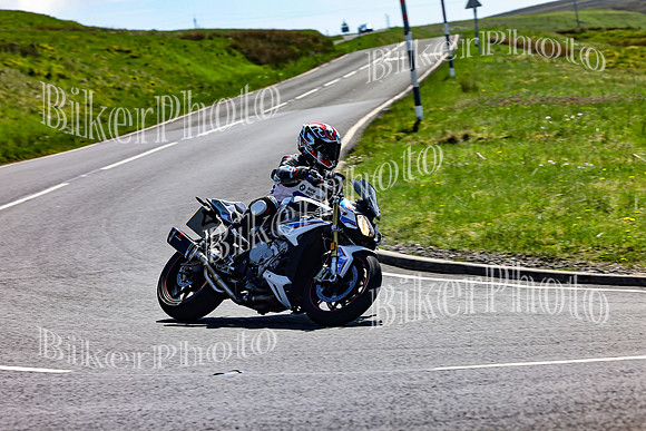 Daves (60)