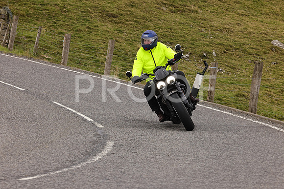 Steve - 3N3A9999 (4954)