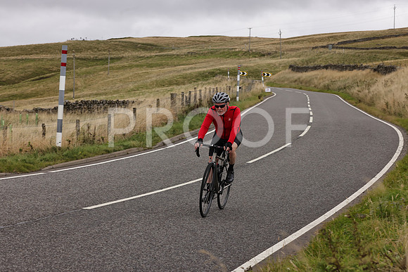 Dave - 3N3A061400 (510)