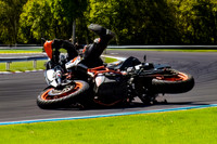 IMG_7674 106-2