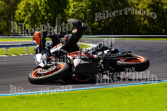 IMG_7674 106-2