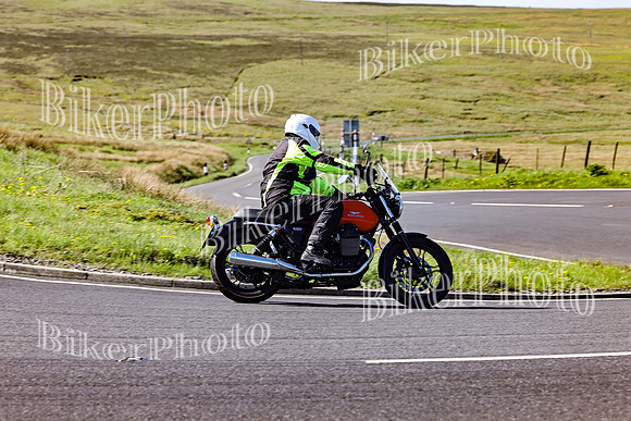 Daves (55)