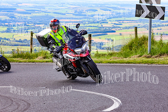 0W9A6288 (2)