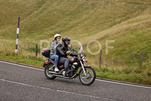 Steve - 3N3A9999 (1207)