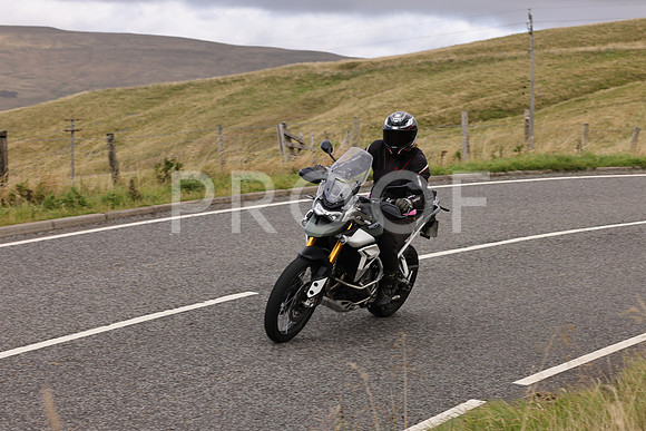 Dave - 3N3A061400 (156)