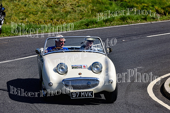 Daves (62)