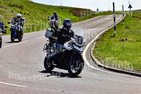 Daves (74)
