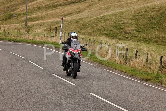 Steve - 3N3A9999 (5016)