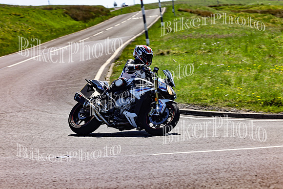 Daves (61)