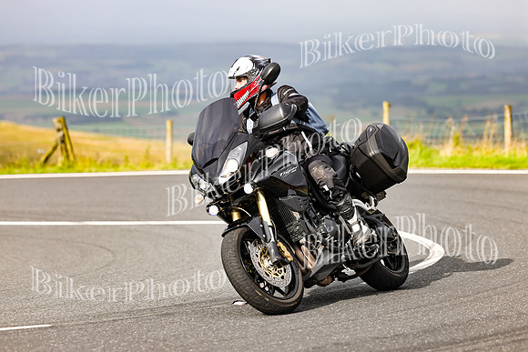 3N3A1662