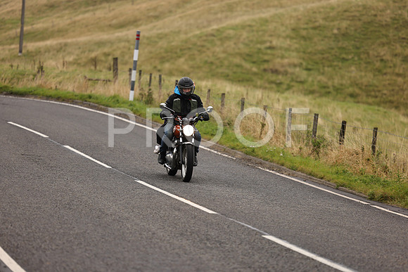 Steve - 3N3A9999 (1168)