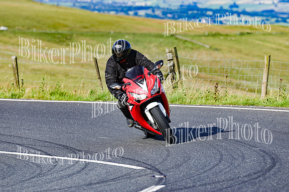 0W9A5397