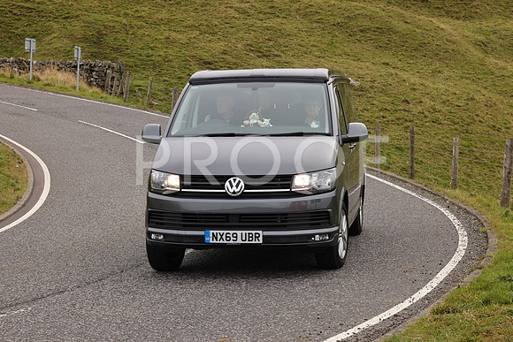 Steve - 3N3A9999 (2546)