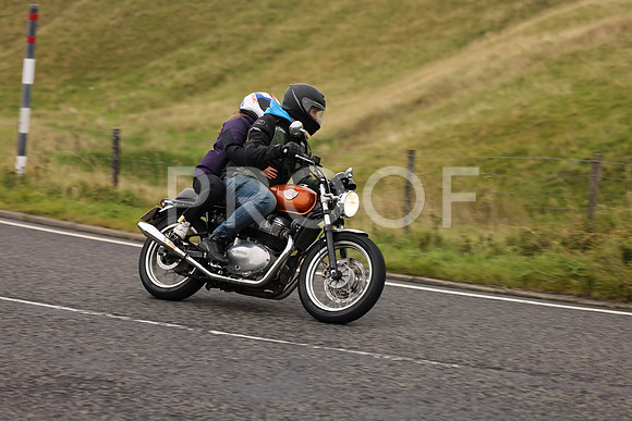 Steve - 3N3A9999 (1184)