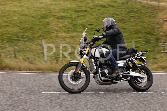 Steve - 3N3A9999 (3770)