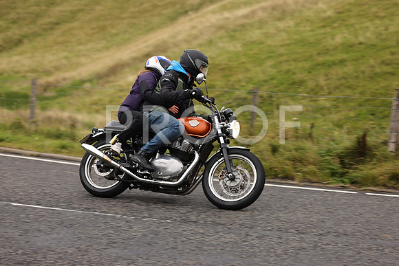 Steve - 3N3A9999 (1186)
